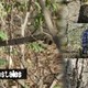 10T-ACTIVIDADES FORESTALES-01